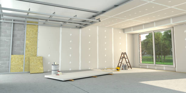 Best Insulation Installation Services in Humansville, MO